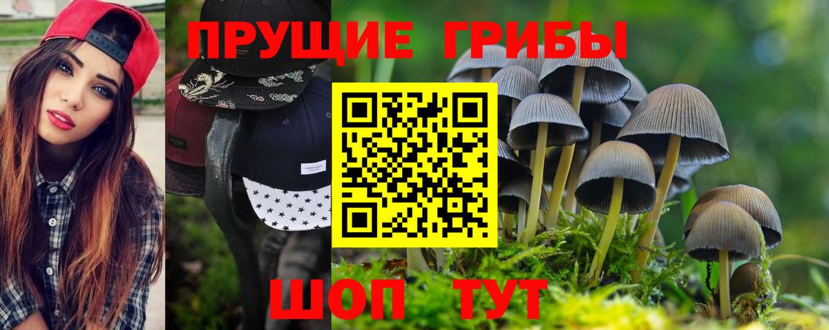 Псилоцибиновые грибы мицелий  Вход с VPN  Фрязино 